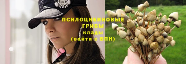 наркотики Абаза