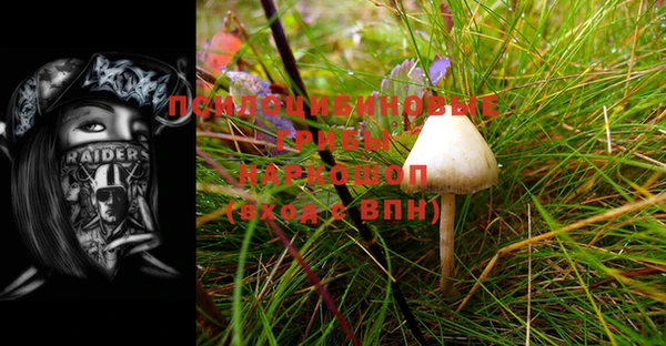 гашик Абдулино