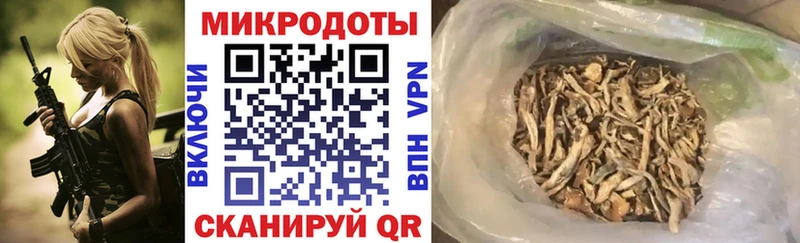 купить наркотик  Рассказово  мега ссылки  Псилоцибиновые грибы GOLDEN TEACHER 
